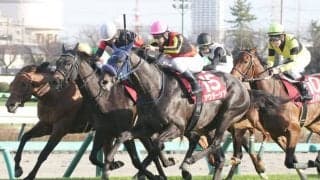 【スプリングS】津村「止まらない馬場で意識して早めに上がって行った」アウダーシアが皐月賞へ名乗り
