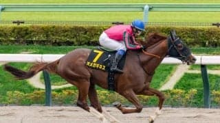 【マーチS登録馬】オメガギネスなど24頭