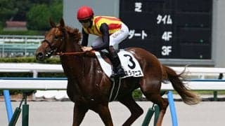 【桜花賞】スターアニス、フェスティバルヒルなどが登録