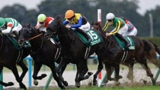 【ダービー卿CT登録馬】京都金杯V、ブエナオンダなど21頭