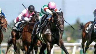 【ダービー卿CT見どころ】力つけたファーヴェントが初重賞制覇だ