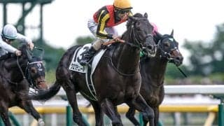【大阪杯想定騎手】クロワデュノールは北村友一騎手、ダノンデサイルは坂井瑠星騎手