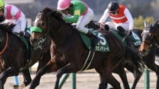 【大阪杯】タガノ軍団が悲願のGI初制覇へ 小倉大賞典覇者のタガノデュードが一発狙う