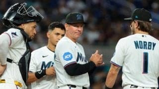 MLB球場で発生「酷すぎる」　“数えられる”観客…ファン冷笑「恥ずかしい」