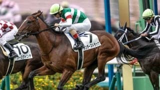【チャーチルダウンズC枠順確定】サンダーストラックは4枠6番、アンドゥーリルは5枠8番