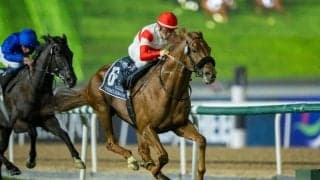【大阪杯】ダノンデサイルは520kg…出走馬の調教後の馬体重