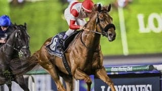 【競馬予想】メイショウタバルが主導権を握る大阪杯で人気薄の台頭は微妙　勝ち負けが見込めるのは状態抜群の実力馬２頭