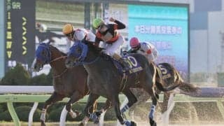 【川崎記念】地方年度代表馬・ディクテオンは7枠8番へ