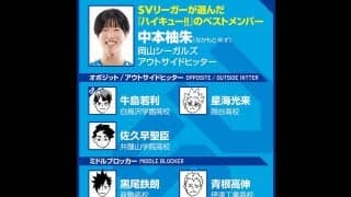 【ハイキュー‼×SVリーグ】 中本柚朱のベストメンバーは\"つなぐ\"チーム　音駒好きとしては、孤爪研磨が苦しむ一戦が推し