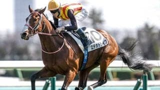【ニュージーランドT出走馬・騎手確定】ロデオドライブ＆津村明秀騎手、ゴーラッキー＆横山武史騎手など15頭