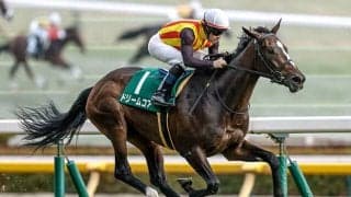 【桜花賞・調教後馬体重】ドリームコアは504kg、アランカールは430kg
