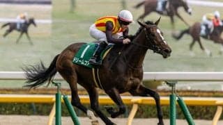 【桜花賞】ドリームコアは504kg…出走馬の調教後の馬体重