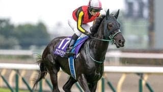 【阪神牝馬S枠順確定】アスコリピチェーノは6枠6番、エンブロイダリーは1枠1番