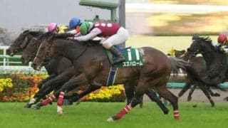 【ダービー卿CT】藤懸「本当に嬉しい」伏兵スズハロームが豪快な差し切り