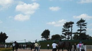 【ニュージーランドT結果】6番人気レザベーションが押し切り、未勝利からの連勝で重賞V