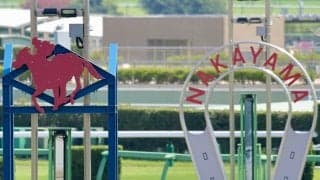 【ニュージーランドT】原優介レザベーションが抜け出す…ロデオドライブは2着
