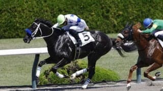 【阪神5R】初ダート・チュウワカーネギーがしぶとく粘って2勝目