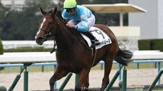 【福島牝馬S】パラディレーヌ、レーゼドラマなどが登録