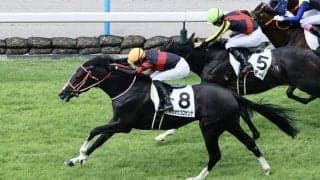 【中山GJ】4億円ホース・ホウオウプロサンゲなど12頭