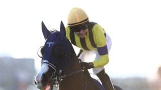 【香港チャンピオンズデー】JRAが馬券発売を発表…マスカレードボールら日本勢参戦、G1・3競走に注目集まる