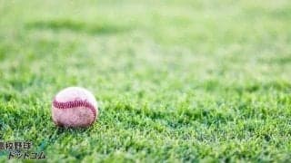 四国IL・徳島に最速158キロ右腕が入団！過去にフィリーズ、レンジャースのマイナーでプレーした25歳