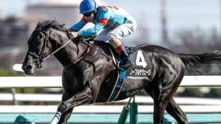 【青葉賞想定騎手】ノーブルサヴェージはD.レーン騎手、ブラックオリンピアは川田将雅騎手