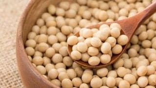 大豆は最強の味方！栄養士が教える、健康管理に役立つ3つの理由
