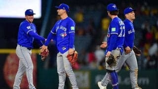 “謎の青色”の球場飯に「吐き気がする」　まさかの組み合わせ…集まる厳しい声「食べないで」