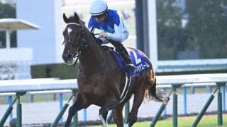 【マイラーズC枠順確定】アドマイヤズームは5枠9番、シックスペンスは8枠16番