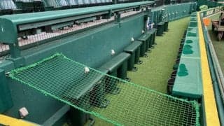 甲子園球場に転落防止のネット設置　１８日に中日・福永が頭から転落で「暫定的な処置として取り急ぎ。いい案を検討していく」迅速に安全対策に着手