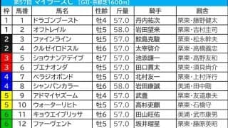 【マイラーズC／枠順】フルゲートの今年はシックスペンスに「0.0.1.8」の試練　“連対率45.5％”単複回収値100超えの軸候補は