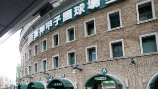 【一覧】夏の甲子園ビデオ検証の対象となる判定　ホームラン、ファウルなど９場面