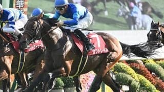 【マイラーズC予想】前走の人気と着順には要注意！ GI好走の舞台も消去法データに当てはまった有力馬