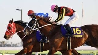 【羽田盃】トリグラフヒルなどJRA馬4頭
