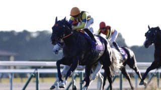 【チャンピオンズマイル】ジャンタルマンタルは6番ゲートから
