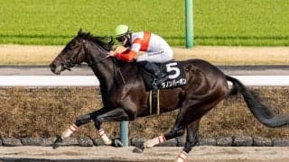【ケンタッキーダービー】ダノンバーボン無事到着、長距離輸送をクリアし本番へ