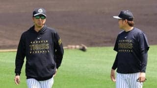 【阪神】阪神が広島戦のスタメン発表　今日こそ、藤川監督に通算100勝を