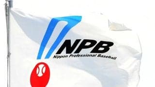 NPBが25年戦力外、引退選手169人の進路調査結果発表　野球関係以外を選択は17人