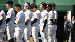 ソフトバンクが平均年俸1位の8,706万円！ 阪神・巨人が追随【プロ野球平均年俸一覧】