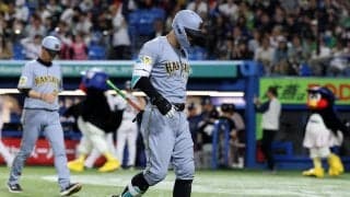 【阪神】４番佐藤輝明は３試合連続安打　打率３割７分６厘は依然として高水準