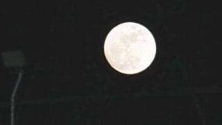 【ヤクルト】緑の花火夜空に…神宮で花火見えたら全勝　５回までに両チーム計５発の“花火大会”