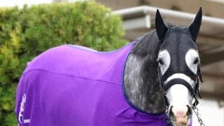 【天皇賞・春】馬トク外厩情報…天皇賞・春は“育成がすべて”　勝ち馬の共通点から有力候補が浮上