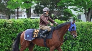 日曜東京競馬場の注目激走馬…東京１１Ｒプリンシパルステークス（Ｌ）