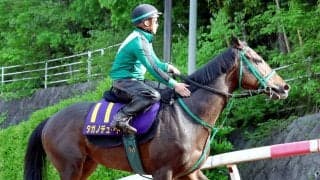 日曜京都競馬場の注目激走馬…京都１１Ｒ天皇賞（春）・Ｇ１