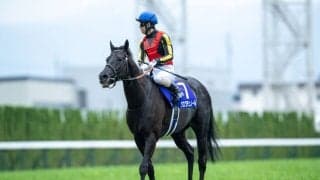 【天皇賞・春】ゴール前は大接戦！クロワデュノールがハナ差凌ぎG1・4勝目
