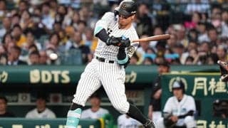 阪神勝利も「水を差された」　迎えた無情の結末…聖地で起きた“悲鳴”「ちょっと残念」