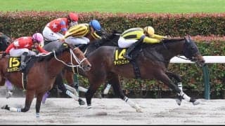 【ブリリアントＳ】タイトニットが外を回る強い競馬でオープン昇級後の初勝利を挙げる　荻野極騎手「馬を褒めたい」