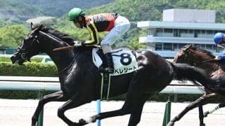 【京都新聞杯】ベレシート、エムズビギンなどが登録