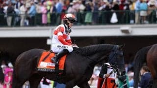【ケンタッキーダービー】西村淳也「結果だけが悔しい」ダノンバーボンは5着…伏兵ゴールデンテンポがV
