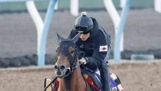 【かしわ記念】鬼門の周回コースを克服できるか…ＪＲＡ王者コスタノヴァ陣営「質の良い稽古ができています」